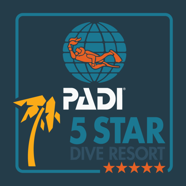 PADI 5 starts dive resort