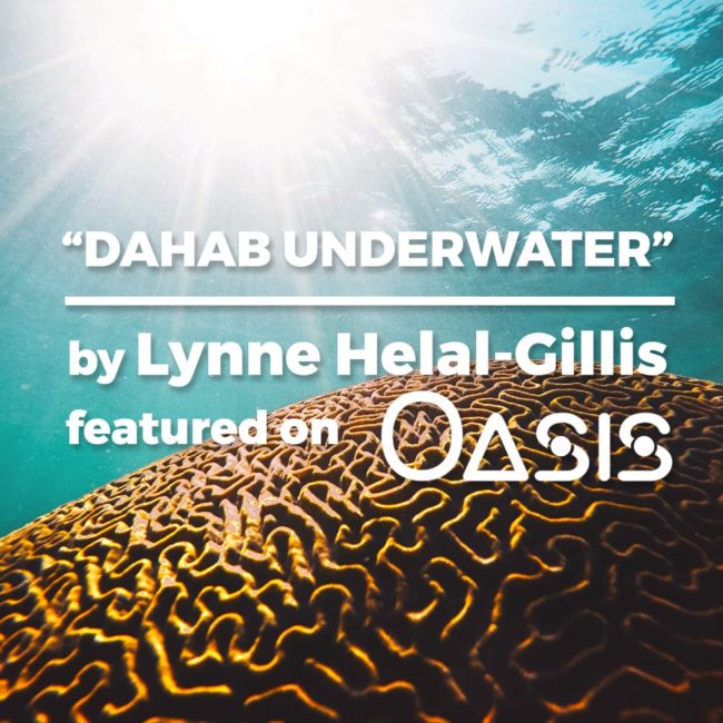 Dahab Underwater