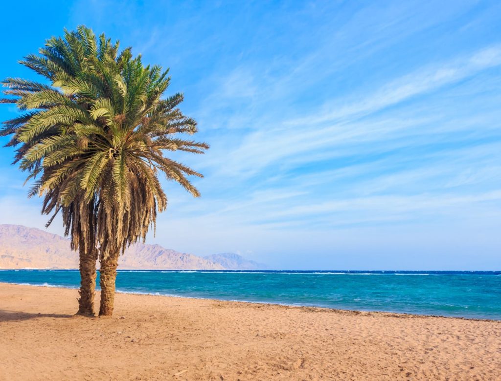 Dahab Beach On National Geographic Dive Urge