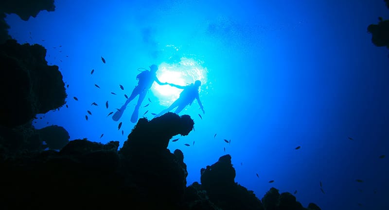 Diving in Dahab s Famous Canyon