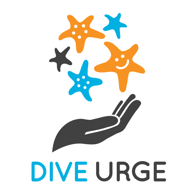 Dive Urge - Dahab