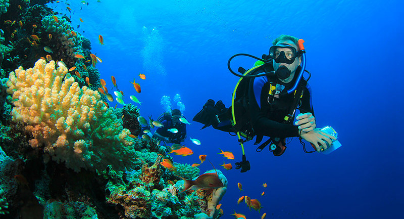 Diving in Dahab amazing dive sites