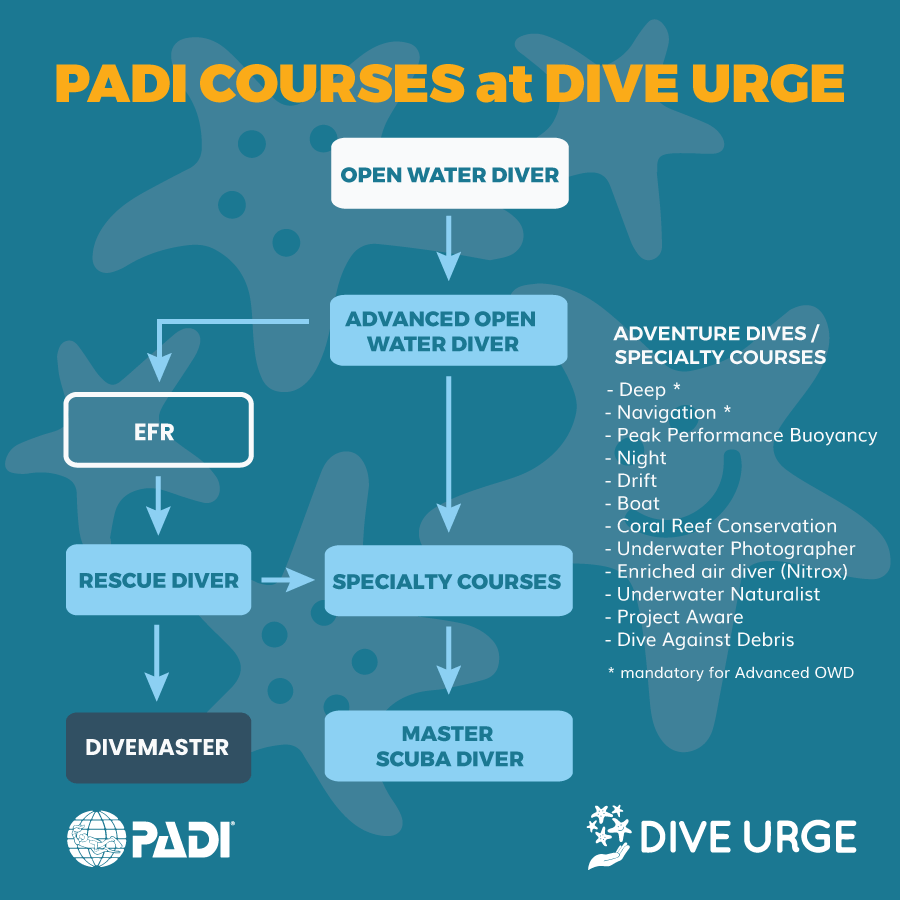 Diving Courses in Dahab ⎮ DIVE URGE