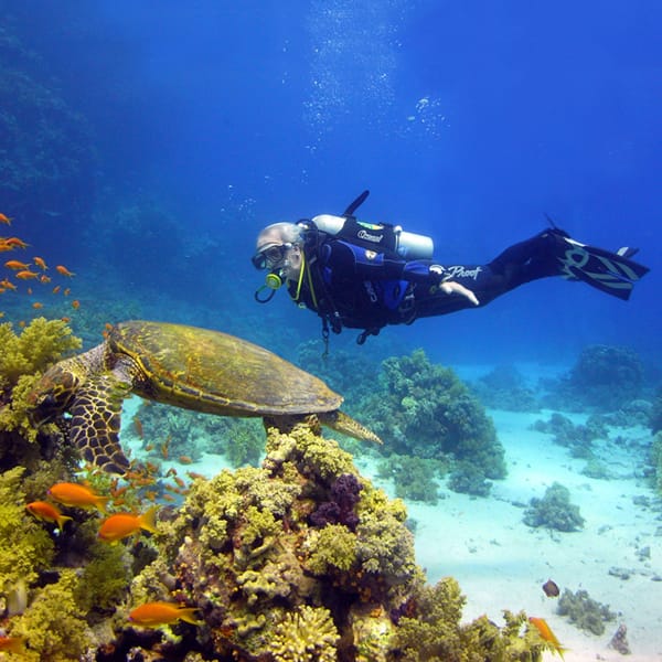 Scuba Diving with Dive Urge in Dahab